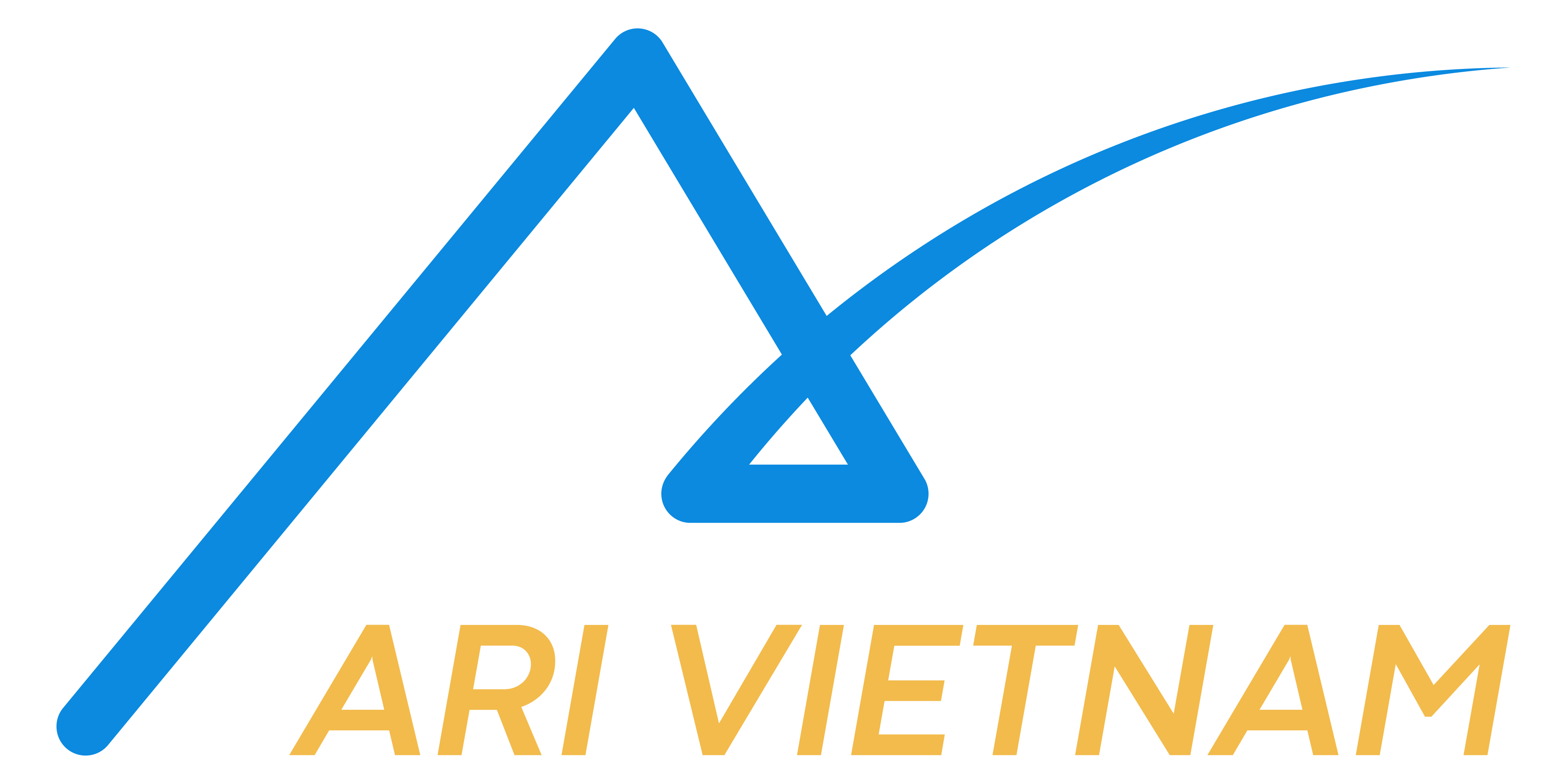 Ari Việt Nam